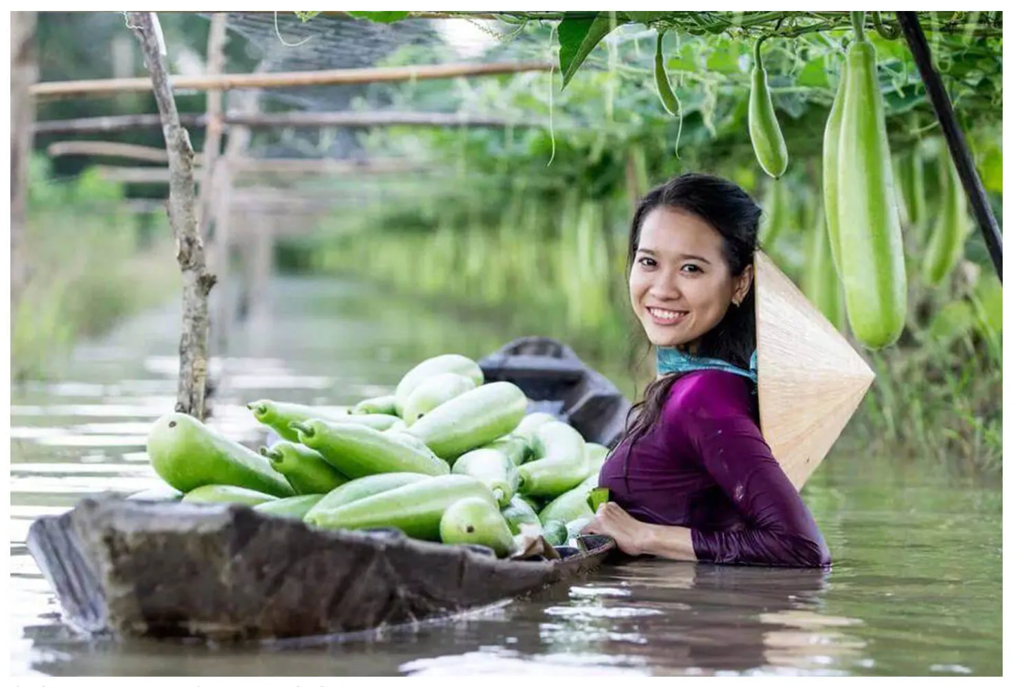 Sắc đẹp dịu dàng trong bộ sưu tập hình ảnh gái quê xinh đẹp