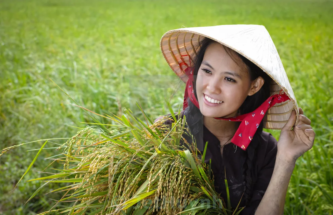 Sắc đẹp dịu dàng trong bộ sưu tập hình ảnh gái quê xinh đẹp