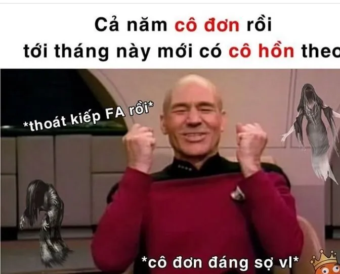 Sự giải trí bất khả cưỡng của bộ sưu tập ảnh meme vui