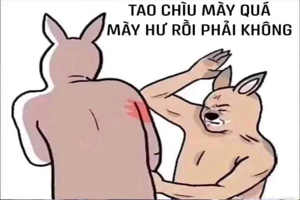 Sự giải trí bất khả cưỡng của bộ sưu tập ảnh meme vui