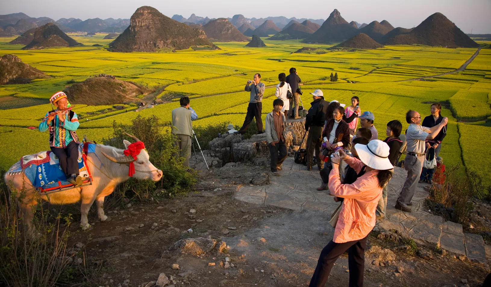 Tổng hợp những hình ảnh phong cảnh khu du lịch sinh thái bình yên 