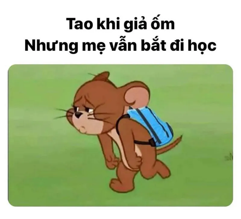 Top 100+ ảnh meme face hài hước bá đạo hết sức buồn cười