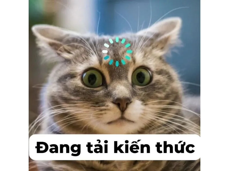 Top 20+ ảnh meme hài hước chế từ những tình huống đời thường