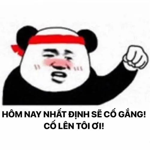 Top 50+ ảnh meme cố lên nạp năng lượng tích cực cho ngày mới!