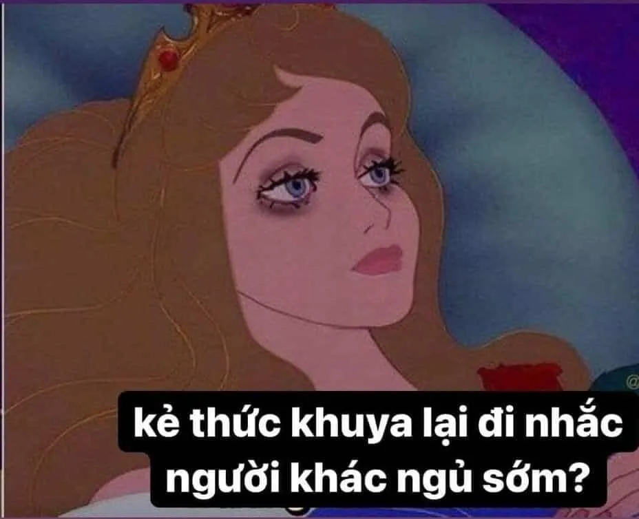 Top 50+ ảnh meme đi ngủ hài hước nhất khiến bạn cười sảng khoái