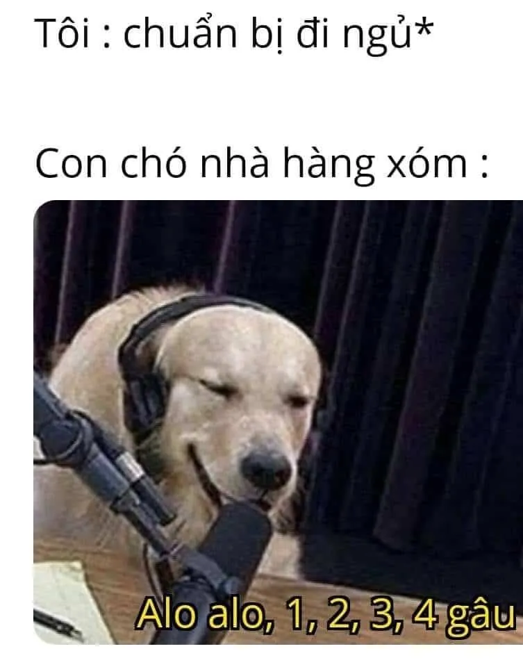 Top 50+ ảnh meme đi ngủ hài hước nhất khiến bạn cười sảng khoái