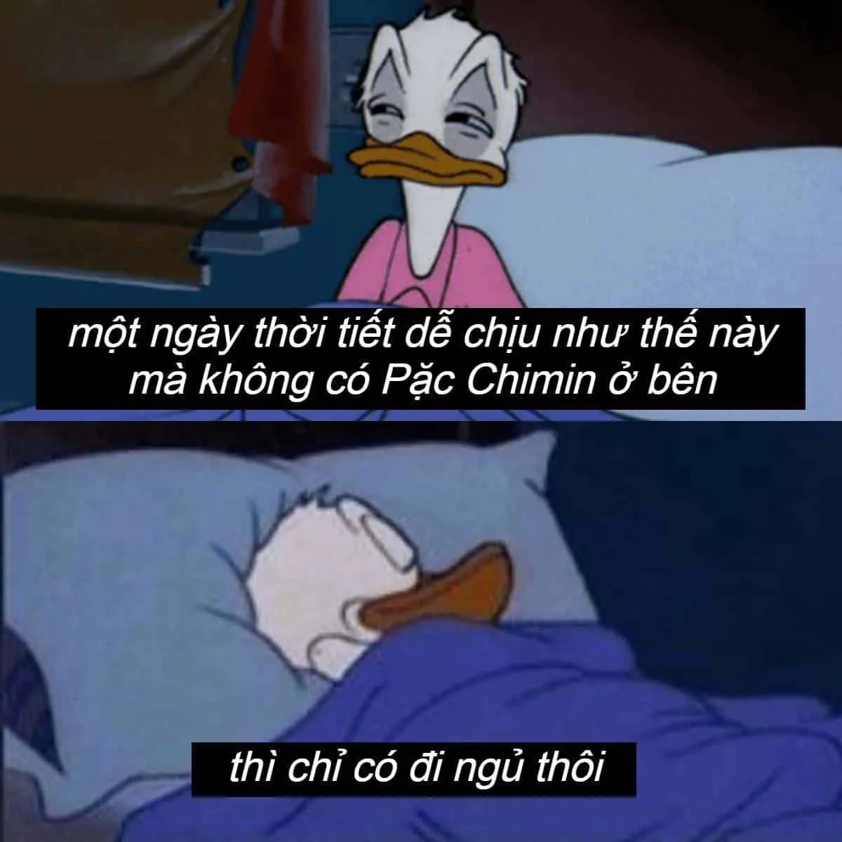 Top 50+ ảnh meme đi ngủ hài hước nhất khiến bạn cười sảng khoái