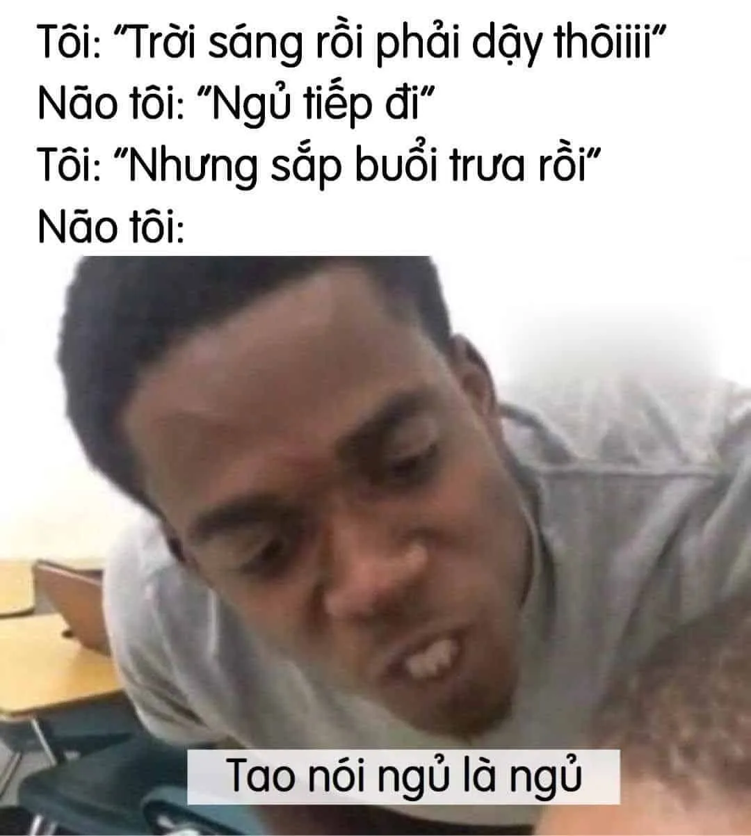 Top 50+ ảnh meme đi ngủ hài hước nhất khiến bạn cười sảng khoái