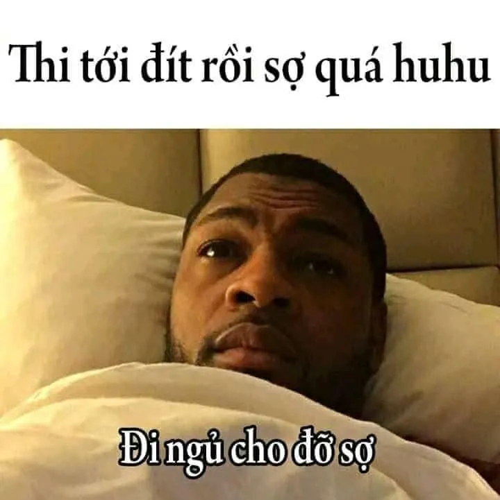 Top 50+ ảnh meme đi ngủ hài hước nhất khiến bạn cười sảng khoái