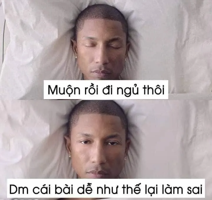 Top 50+ ảnh meme đi ngủ hài hước nhất khiến bạn cười sảng khoái