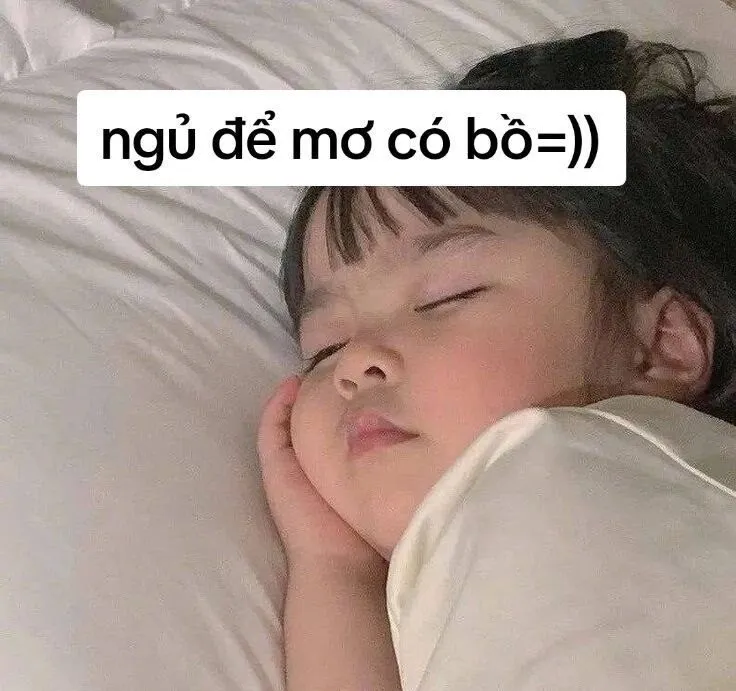 Top 50+ ảnh meme đi ngủ hài hước nhất khiến bạn cười sảng khoái