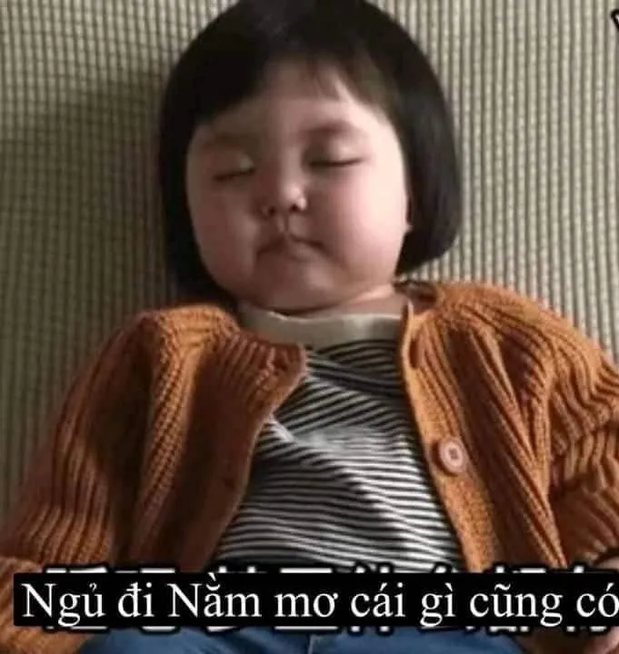 Top 50+ ảnh meme đi ngủ hài hước nhất khiến bạn cười sảng khoái