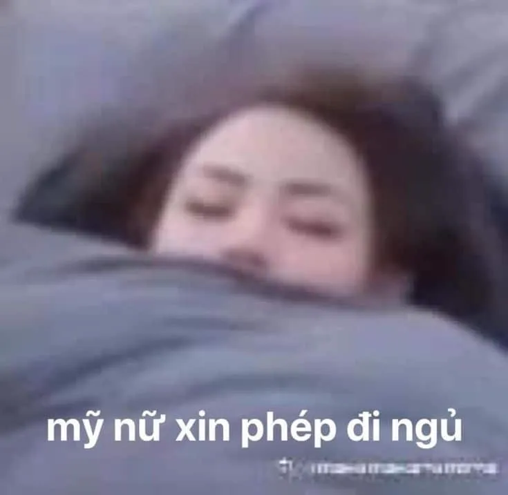 Top 50+ ảnh meme đi ngủ hài hước nhất khiến bạn cười sảng khoái