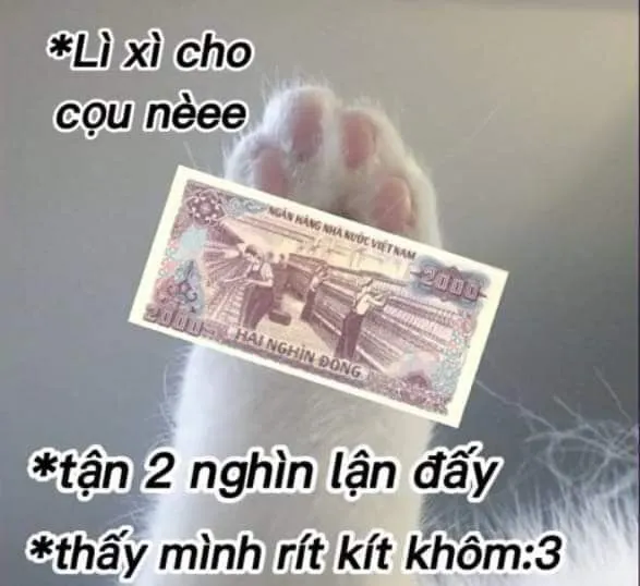 Top 50+ Ảnh meme về tiền. Chế dở khóc dở cười đầy hài hước