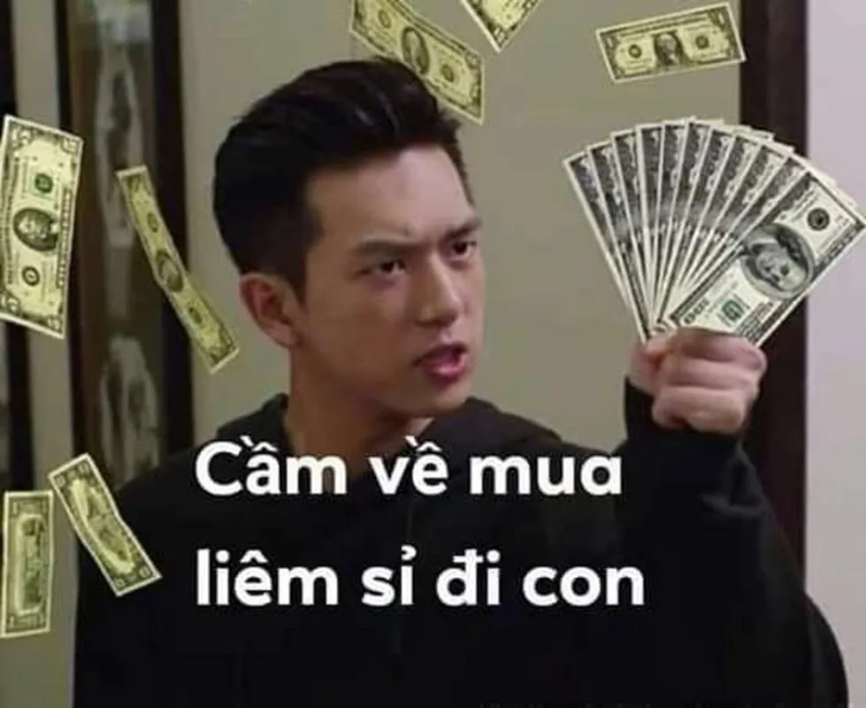 Top 50+ Ảnh meme về tiền. Chế dở khóc dở cười đầy hài hước