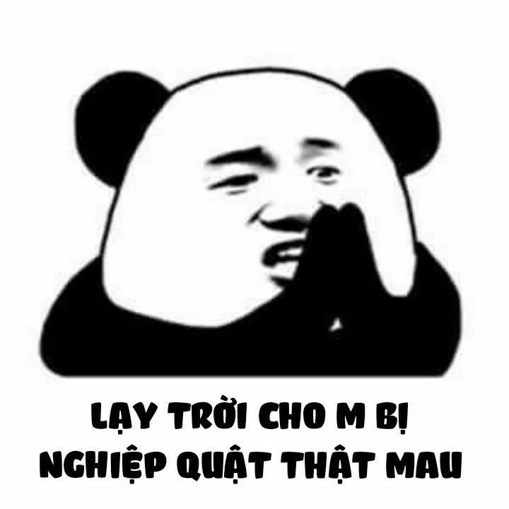 Top 99+ ảnh meme gấu trúc “bựa nhức nách” hài hước nhất