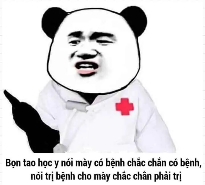 Top 99+ ảnh meme gấu trúc “bựa nhức nách” hài hước nhất