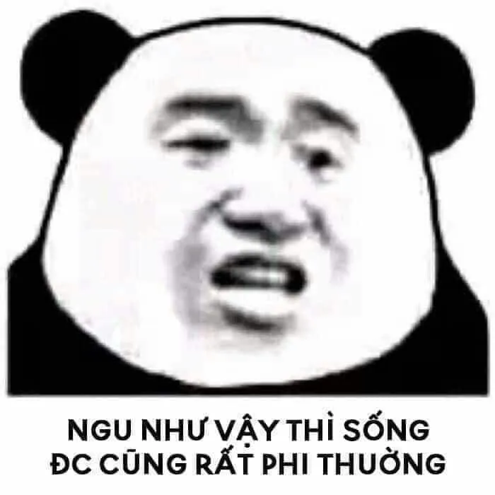 Top 99+ ảnh meme gấu trúc “bựa nhức nách” hài hước nhất