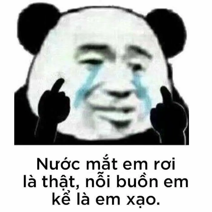 Top 99+ ảnh meme gấu trúc “bựa nhức nách” hài hước nhất