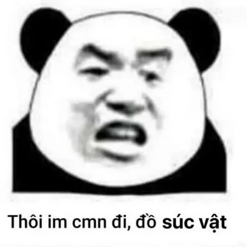 Top 99+ ảnh meme gấu trúc “bựa nhức nách” hài hước nhất