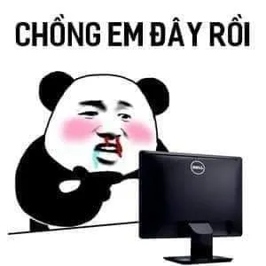 Top 99+ ảnh meme gấu trúc “bựa nhức nách” hài hước nhất