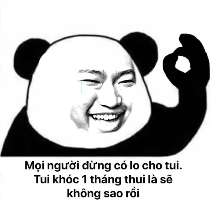 Top 99+ ảnh meme gấu trúc “bựa nhức nách” hài hước nhất