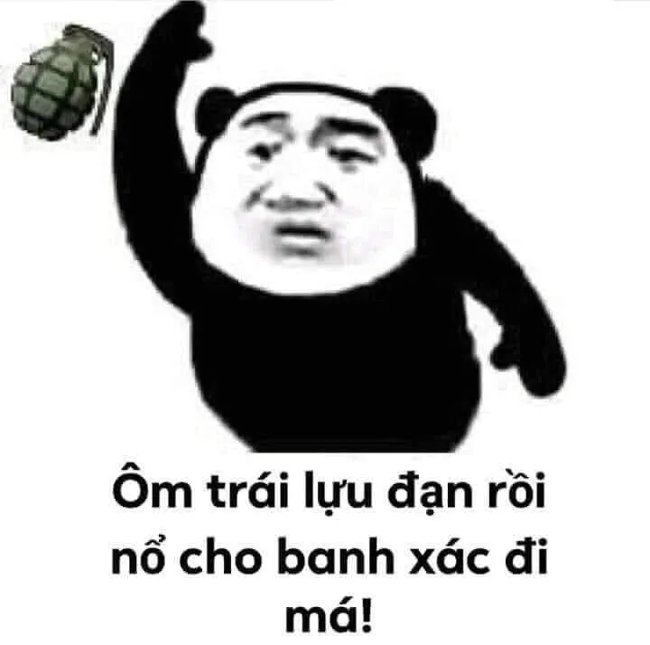 Top 99+ ảnh meme gấu trúc “bựa nhức nách” hài hước nhất