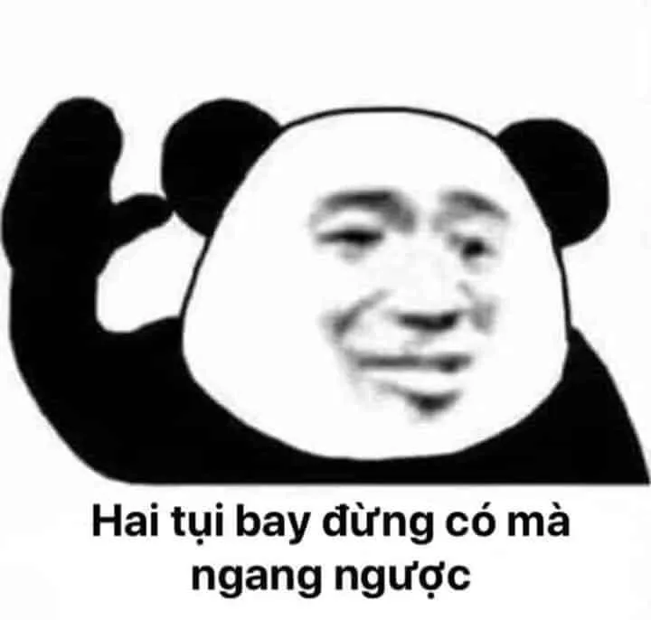 Top 99+ ảnh meme gấu trúc “bựa nhức nách” hài hước nhất