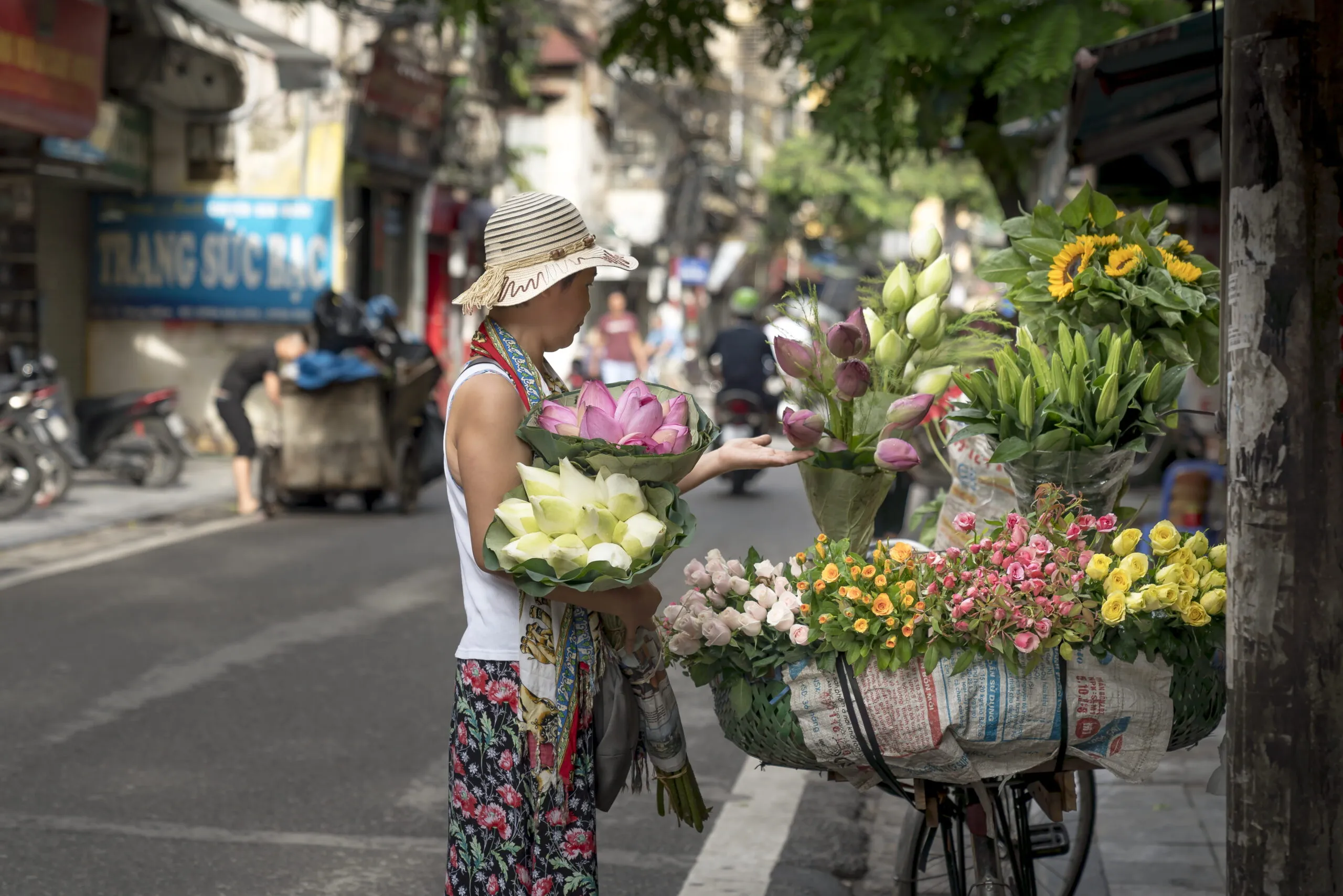 Top 99+ ảnh mùa thu Hà Nội đẹp xao xuyến lòng người