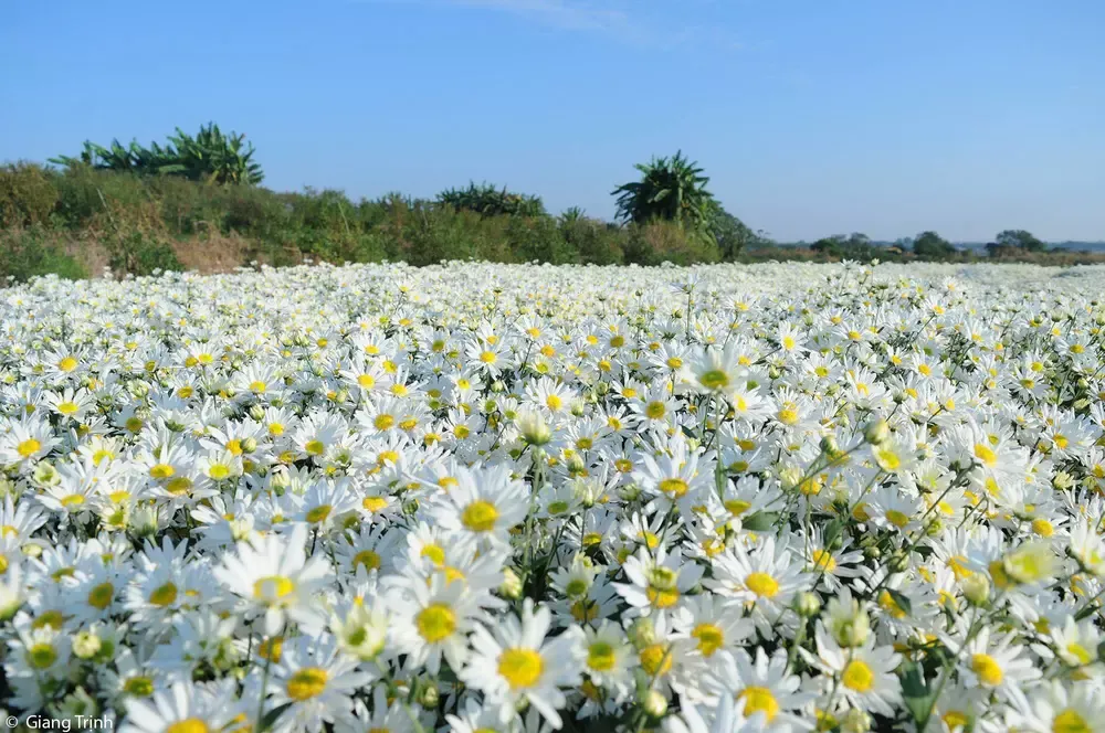 Top 99+ ảnh mùa thu Hà Nội đẹp xao xuyến lòng người