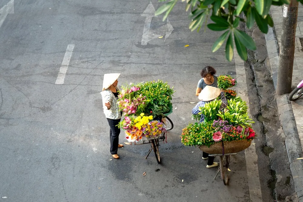 Top 99+ ảnh mùa thu Hà Nội đẹp xao xuyến lòng người