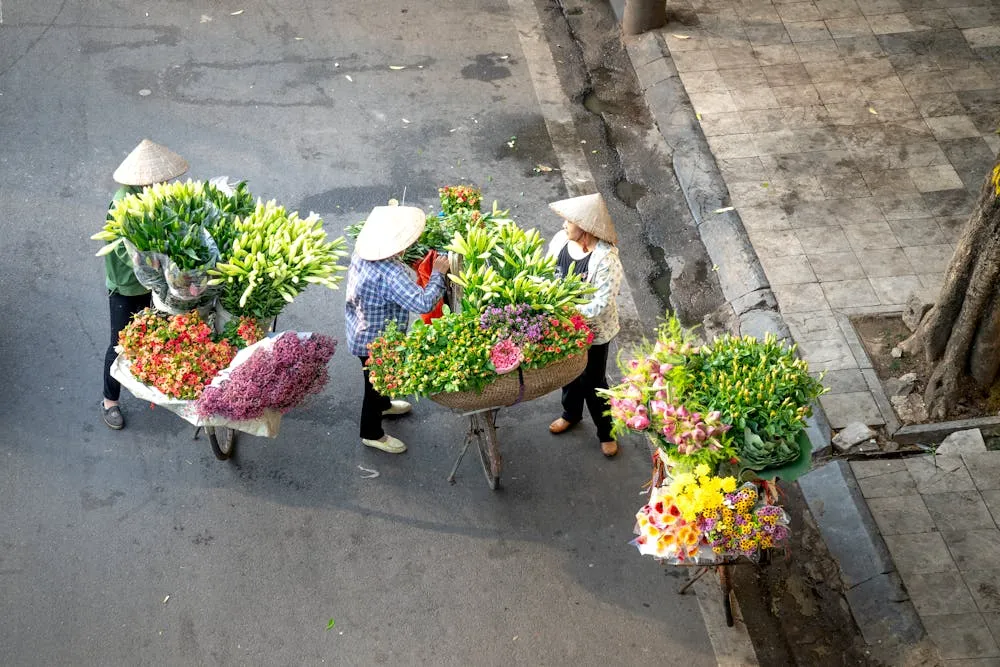 Top 99+ ảnh mùa thu Hà Nội đẹp xao xuyến lòng người