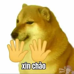 Top ảnh meme chào viral nhất mạng xã hội làm mới cách chào hỏi của bạn