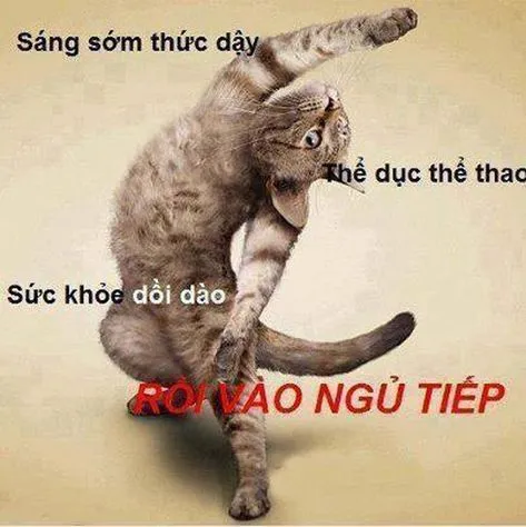 Top ảnh meme chào viral nhất mạng xã hội làm mới cách chào hỏi của bạn