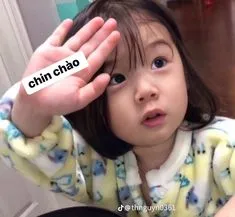 Top ảnh meme chào viral nhất mạng xã hội làm mới cách chào hỏi của bạn