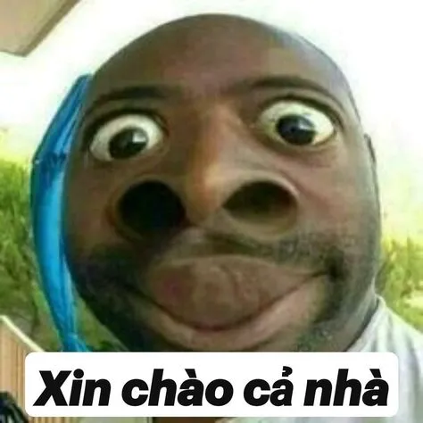 Top ảnh meme chào viral nhất mạng xã hội làm mới cách chào hỏi của bạn