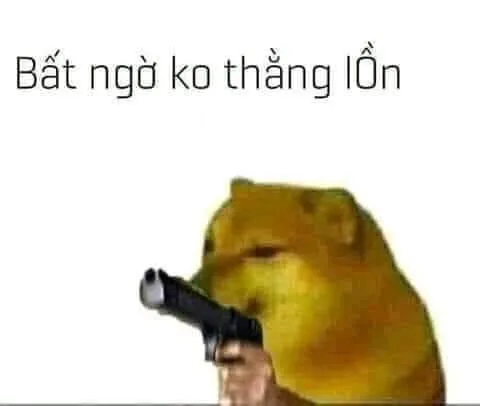 Top ảnh meme chó hài hước chế từ những tình huống đời thường