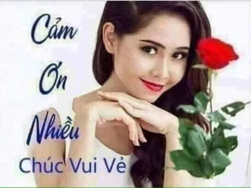 Tuyển tập ảnh meme cảm ơn cute đáng yêu nhất cho mọi tình huống