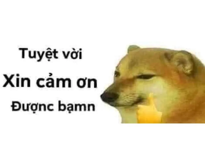 Tuyển tập ảnh meme cảm ơn cute đáng yêu nhất cho mọi tình huống