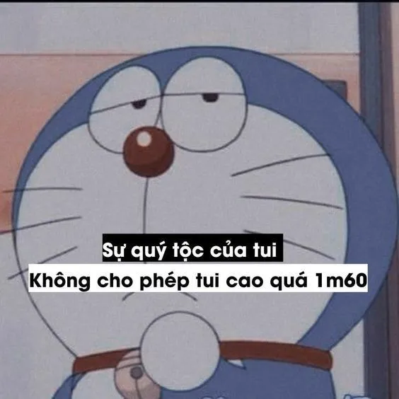 Tuyển tập bộ ảnh Doraemon meme hài hước nhất của chú mèo máy 