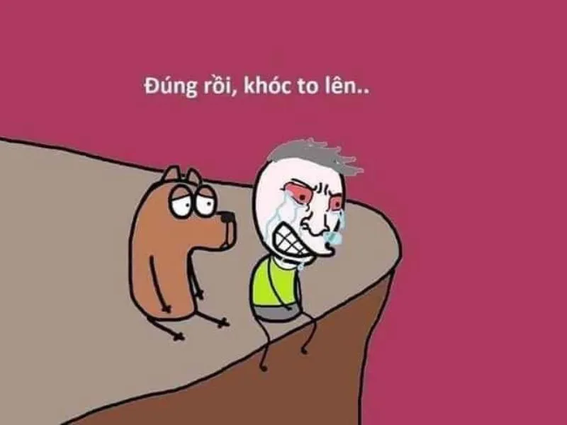 Vượt qua ngộ nghĩnh với bộ ảnh meme an ủi hài hước nhất